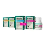 numelvi-tablets- atinvicitinib-for-dogs