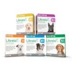 librela-injection-bedinvetmab-for-dogs-osteoarthritis-pain