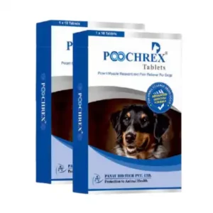 poochrex-tablets-muscle-relaxant-pain-relief-dogs
