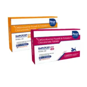 smplycef-cv-tablets-cefpodoxime-proxetil-potassium-clavulanate-for-dogs-and-cats