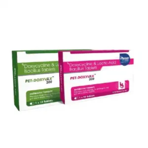pet-doxyvax-tablets-doxycycline-lactic-acid-bacillus-tablets-dogs-cats